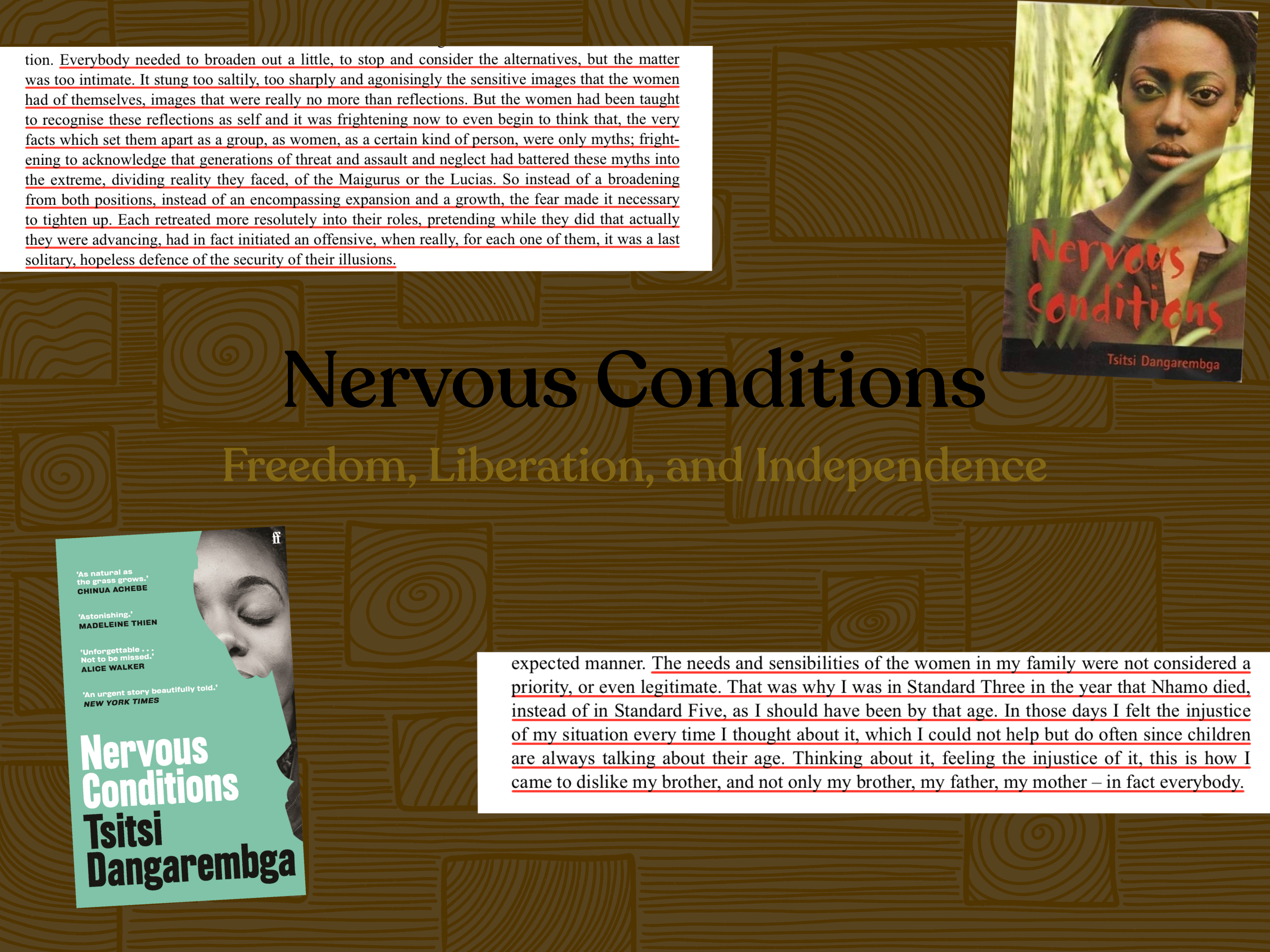 Nervous Conditions: Freedom, Liberation and Independence