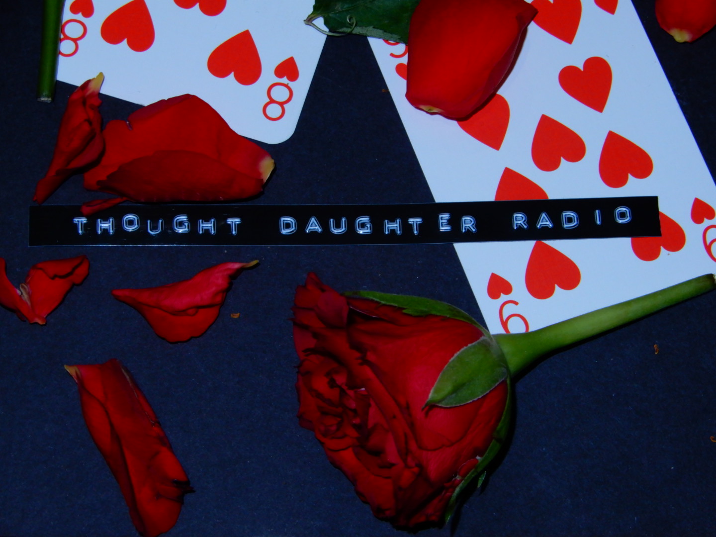 Previously on Thought Daughter Radio…